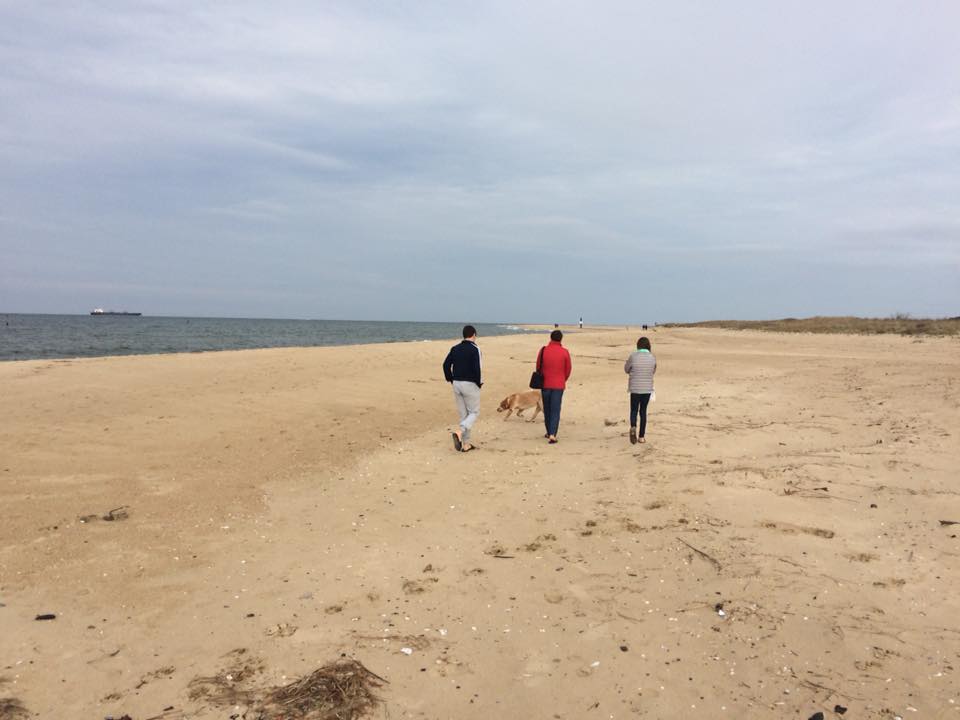 First Day Hike, First Landing State Park